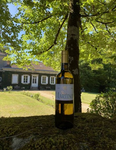 Dégustation et vente directe vin blanc sec Entre-deux-Mers Bordeaux